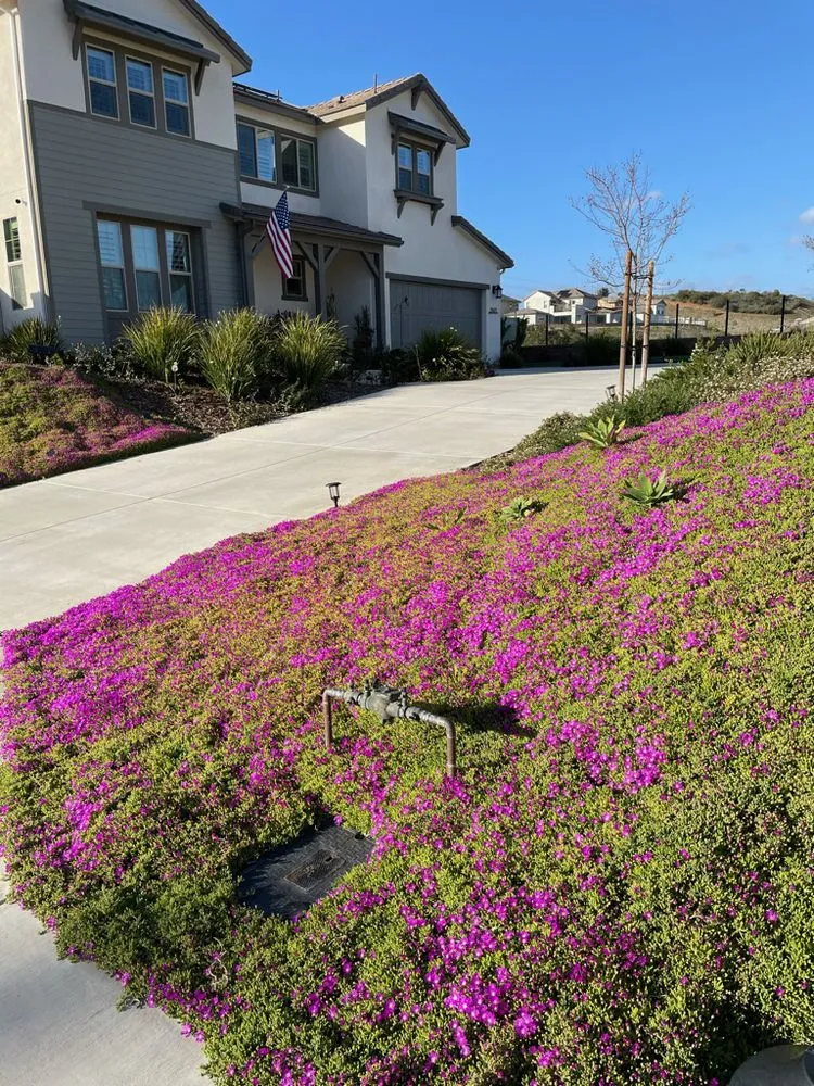 Trusted lawn care service experts serving San Diego, CA - Terra Firma Landscape