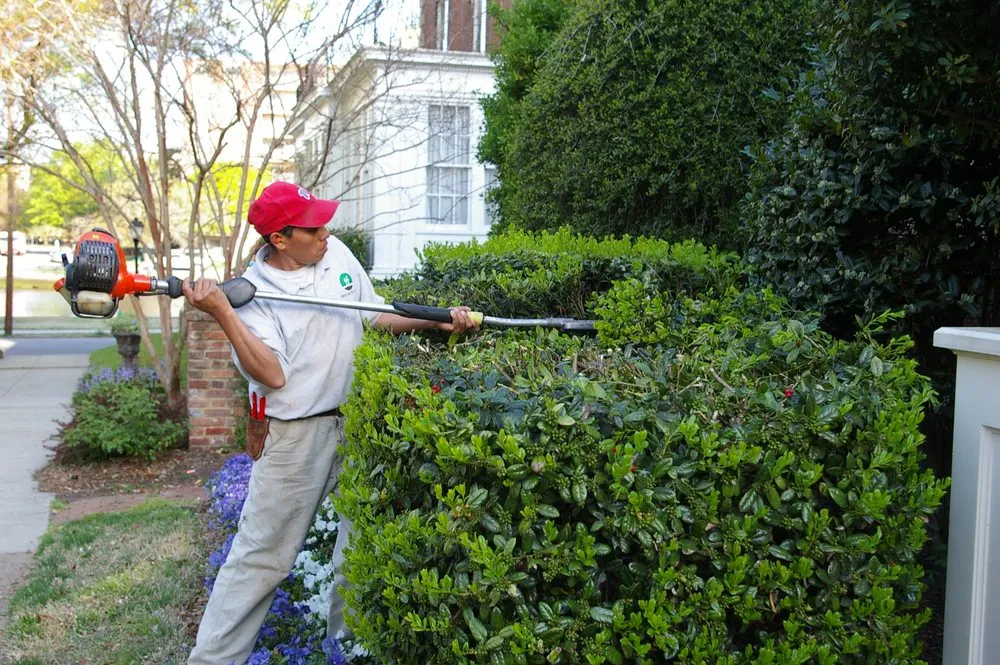 Reliable outdoor landscaping for residential properties across Norfolk, VA - Terra Firma
