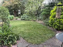 Professional residential landscaping for year-round maintenance in Norfolk, VA by Terra Firma