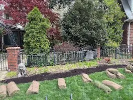 Expert yard maintenance experts serving Norfolk, VA - Terra Firma