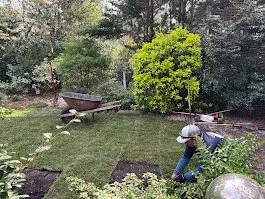 Affordable landscape installation experts serving Norfolk, VA - Terra Firma