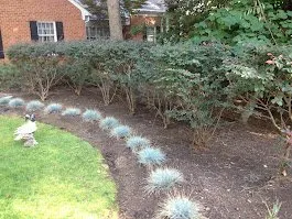 Reliable garden landscaping for beautiful yards across Norfolk, VA - Terra Firma