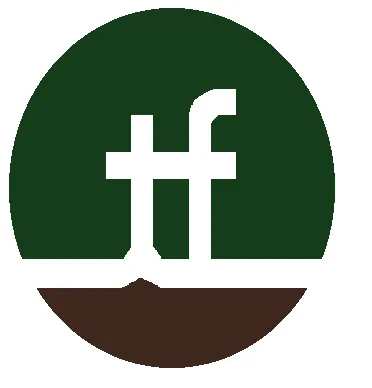 Custom landscape design with custom design in Norfolk, VA by Terra Firma