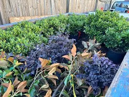 Affordable landscaping services in Norfolk, VA by Terra Firma