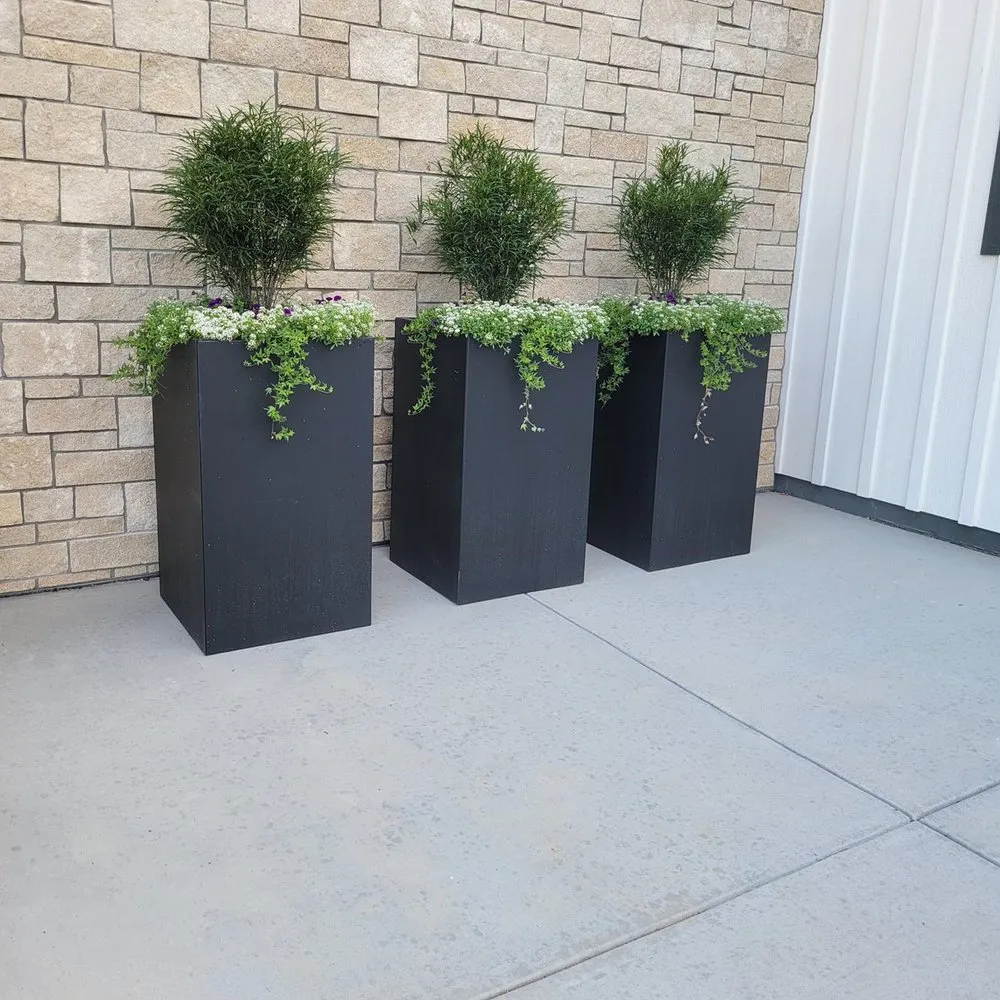 Top-rated yard maintenance in Erie, CO by Terra Firme Construction