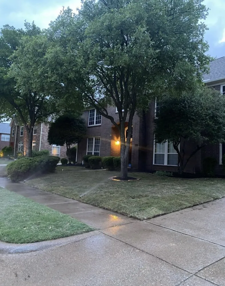 Professional garden landscaping experts serving Lewisville, TX - Terra Flow