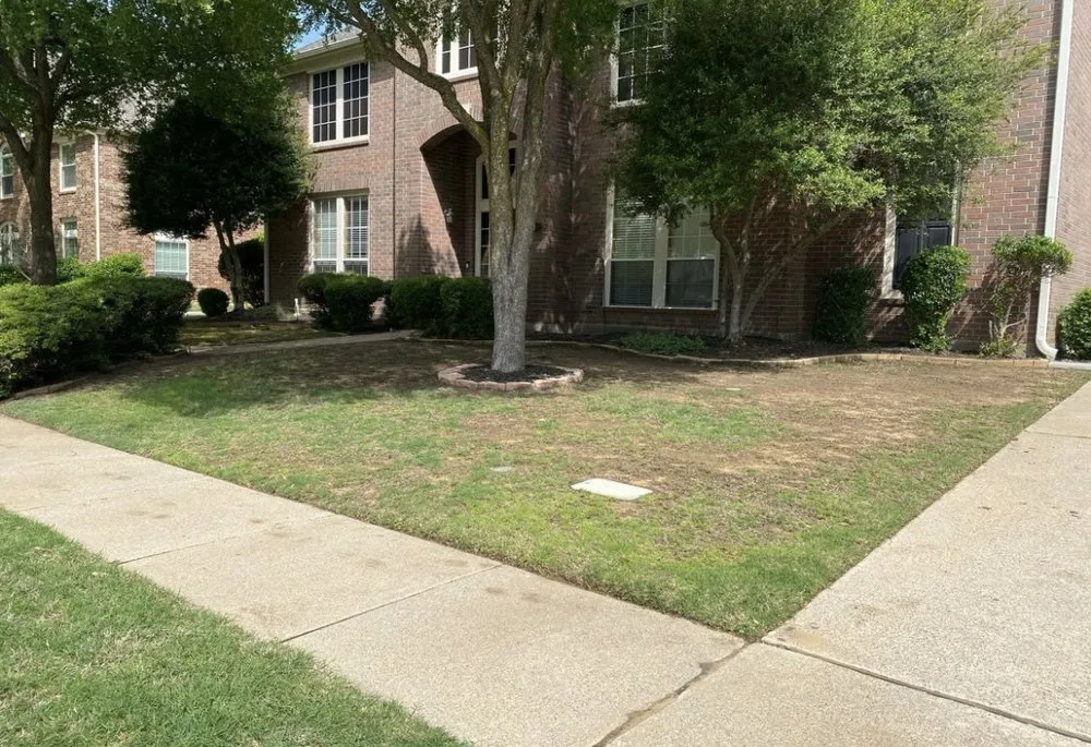 Custom yard maintenance experts serving Lewisville, TX - Terra Flow
