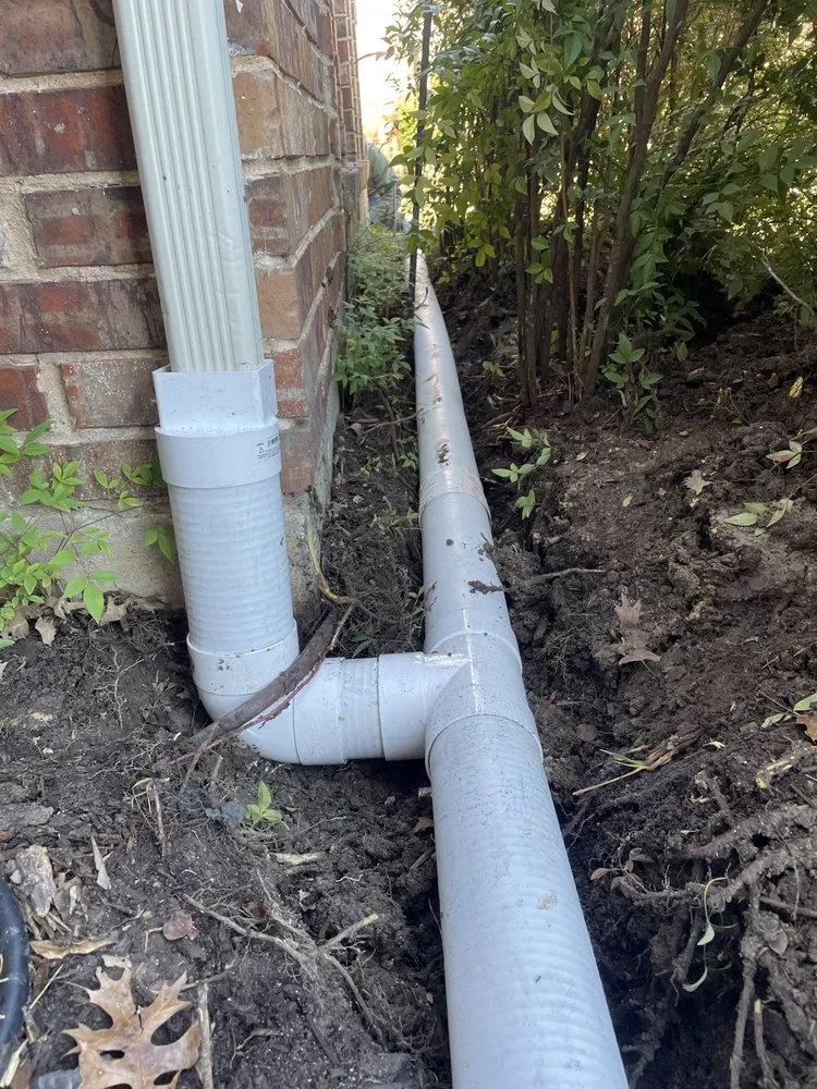 Expert yard cleanup service for outdoor upgrades in Lewisville, TX by Terra Flow