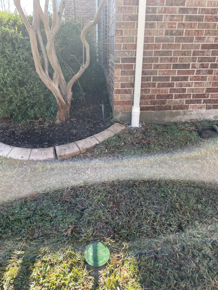 Reliable yard cleanup service in Lewisville, TX - Terra Flow