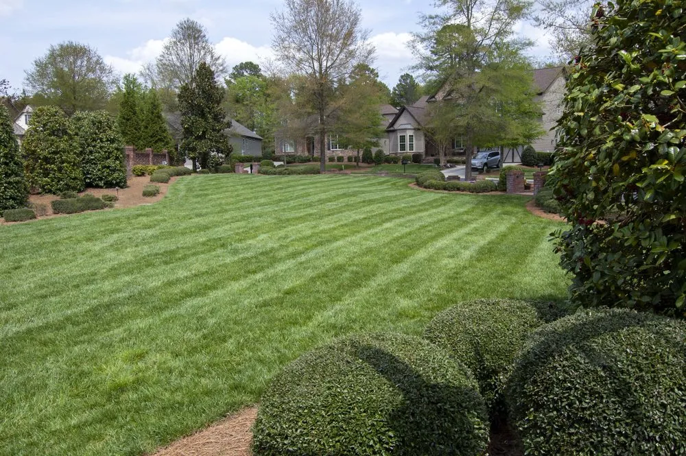 Top-rated garden landscaping experts serving Concord, NC - Terra Green Precision Landscapes