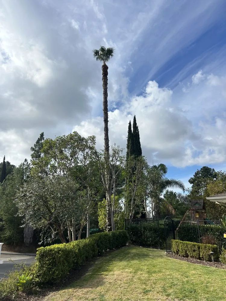 Trusted lawn care service in Buena Park, CA - Terra Grow Landscape