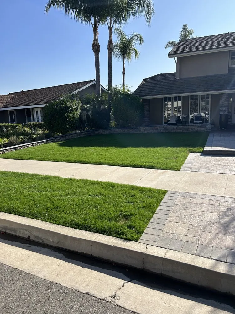 Reliable yard cleanup service in Buena Park, CA by Terra Grow Landscape