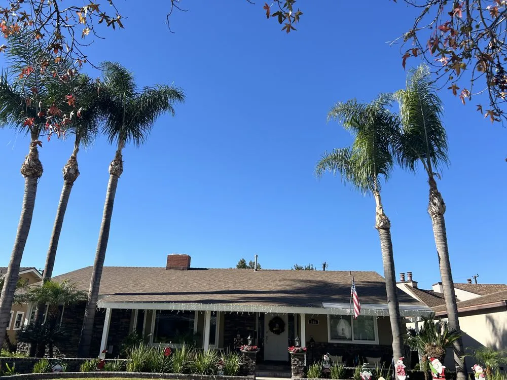 Affordable yard maintenance experts serving Buena Park, CA - Terra Grow Landscape