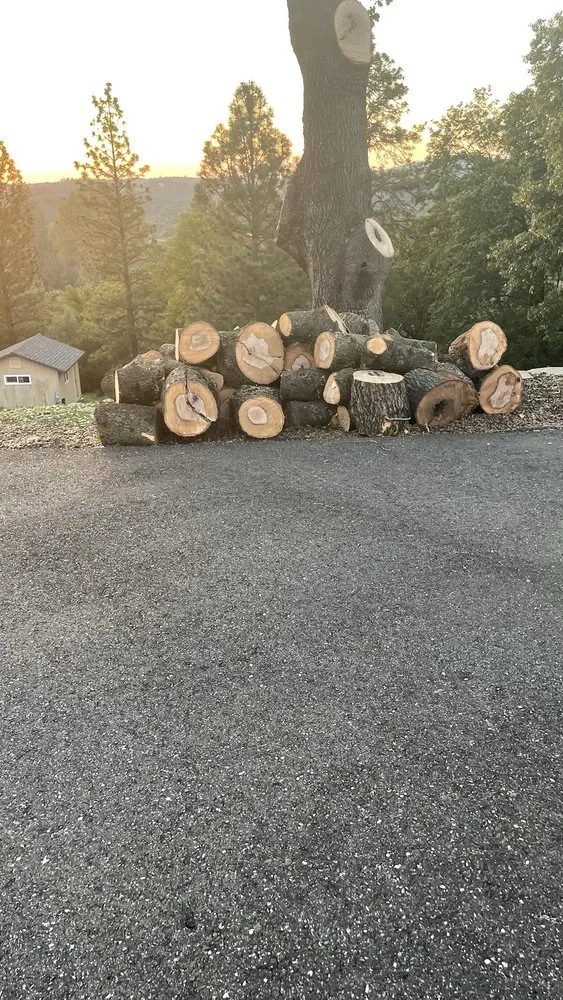 Affordable landscaping services in Grass Valley, CA by Terra Heights Tree Experts & Landscaping