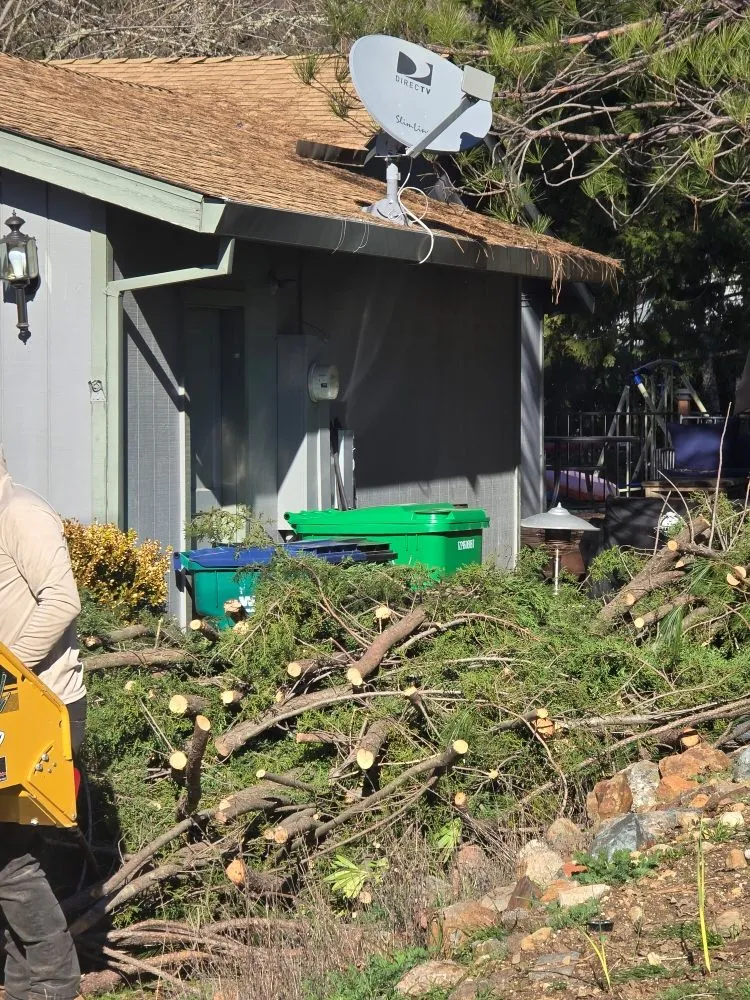 Custom landscape design experts serving Grass Valley, CA - Terra Heights Tree Experts & Landscaping