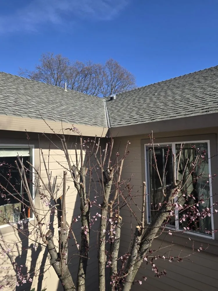 Reliable yard cleanup service in Grass Valley, CA by Terra Heights Tree Experts & Landscaping