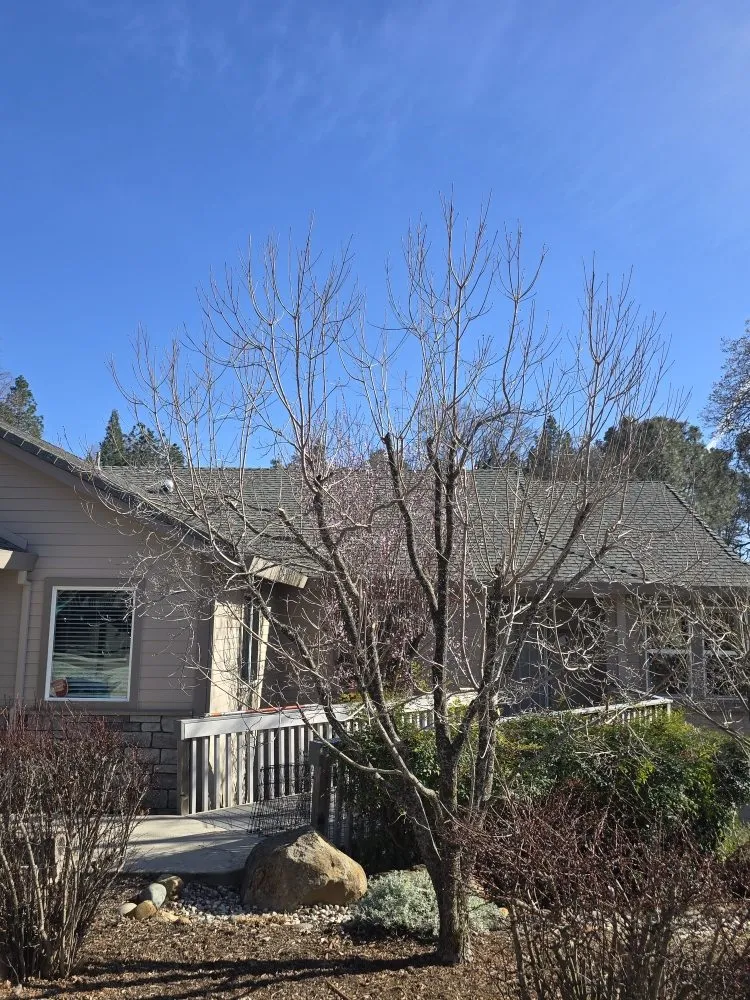 Professional garden landscaping for beautiful yards across Grass Valley, CA - Terra Heights Tree Experts & Landscaping