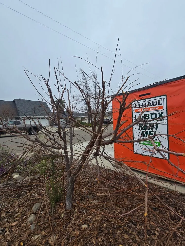 Affordable landscape design for beautiful yards across Grass Valley, CA - Terra Heights Tree Experts & Landscaping