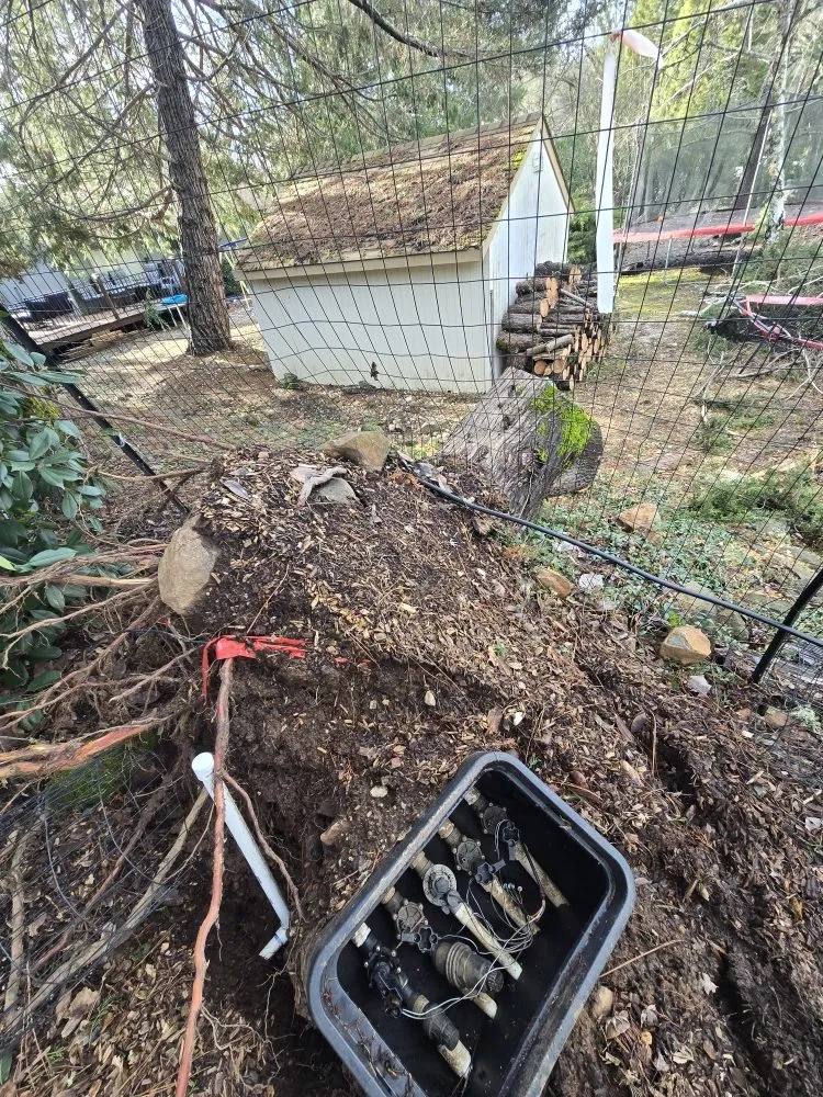 Trusted lawn care service with custom design across Grass Valley, CA - Terra Heights Tree Experts & Landscaping