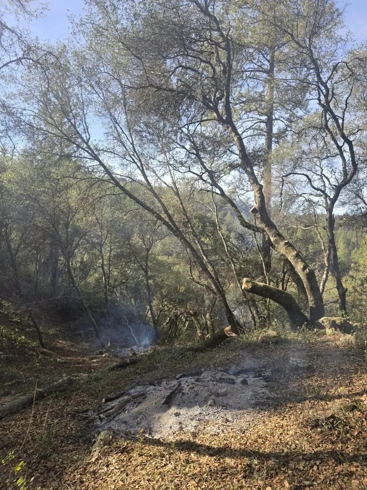 Custom landscape installation in Grass Valley, CA by Terra Heights Tree Experts & Landscaping
