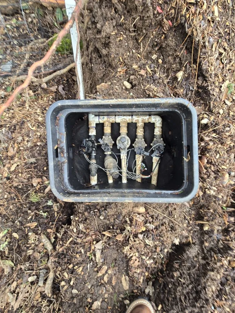 Local landscape installation in Grass Valley, CA - Terra Heights Tree Experts & Landscaping