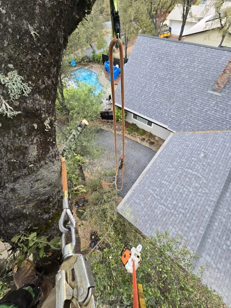 Local garden landscaping for outdoor upgrades across Grass Valley, CA - Terra Heights Tree Experts & Landscaping