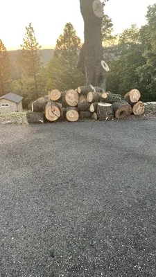 Terra Heights Tree Experts & Landscaping