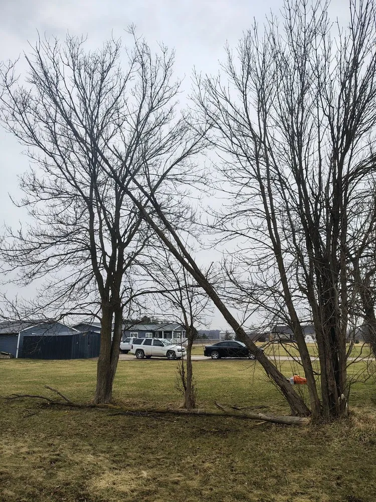 Professional outdoor landscaping for residential properties in Genesee, MI by Terra Kutz