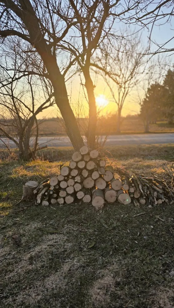 Professional landscaping services in Genesee, MI by Terra Kutz