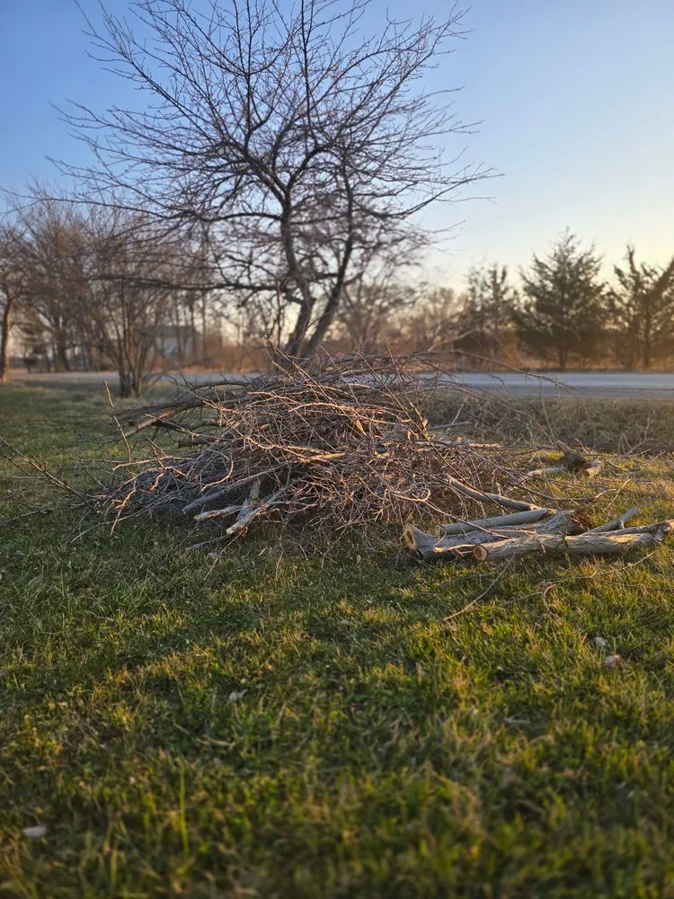 Affordable landscape design in Genesee, MI - Terra Kutz