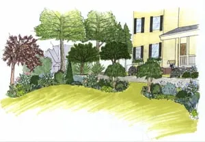 Expert lawn mowing service in Fairfax, VA by Terra Landscape & Design