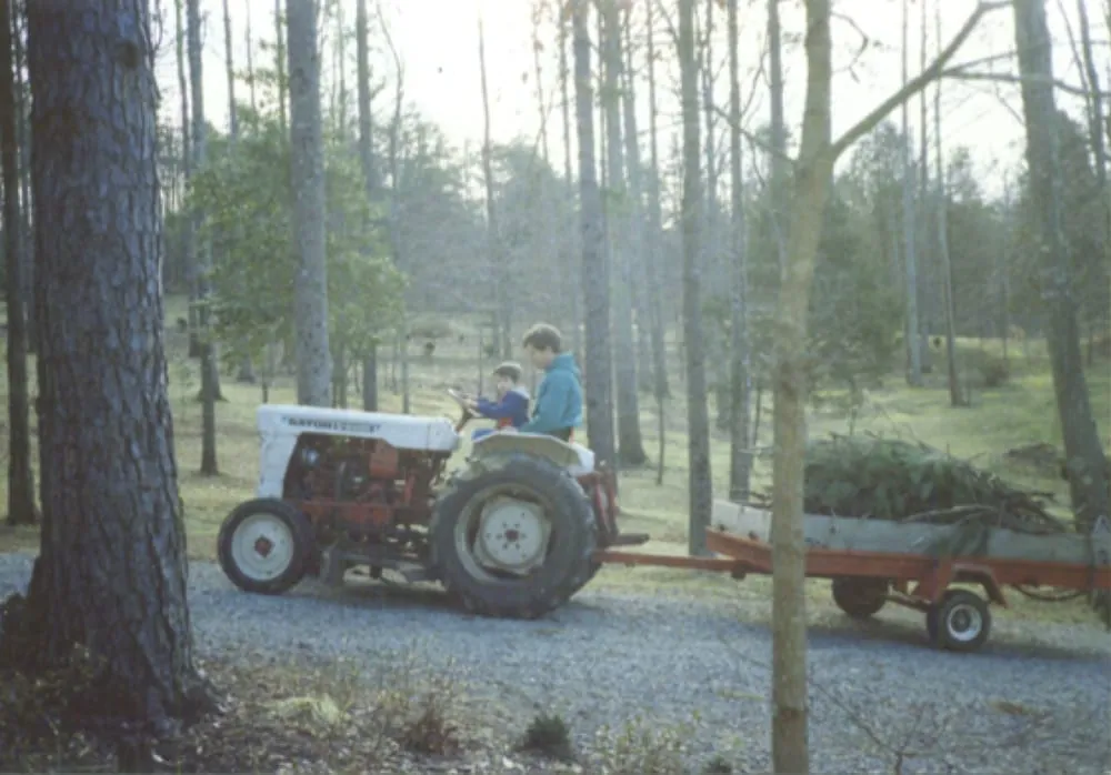 Reliable landscape design for residential properties across Fairfax, VA - Terra Landscape & Design