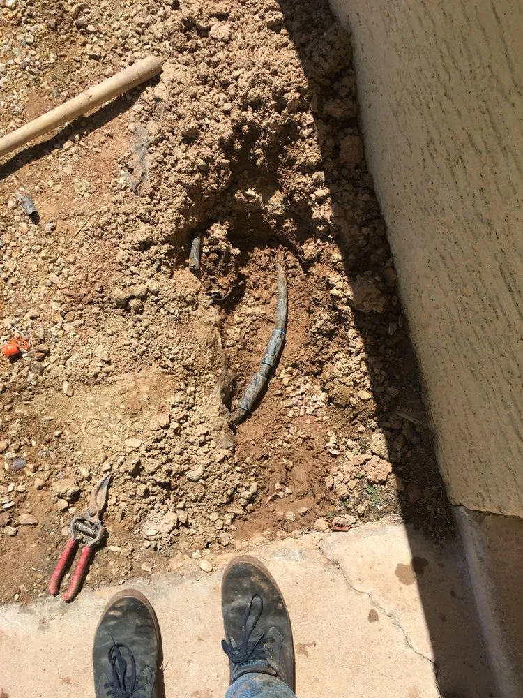 Reliable lawn mowing service experts serving Mesa, AZ - Terra Landscaping