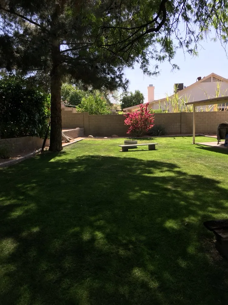 Local outdoor landscaping in Mesa, AZ by Terra Landscaping