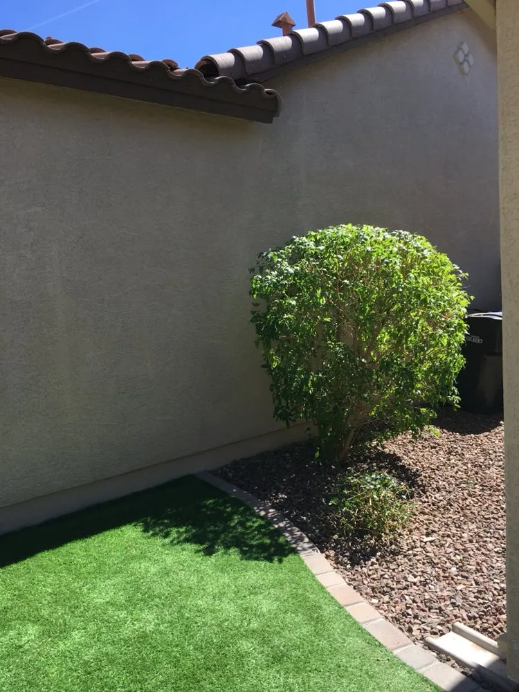 Local landscaping services in Mesa, AZ by Terra Landscaping