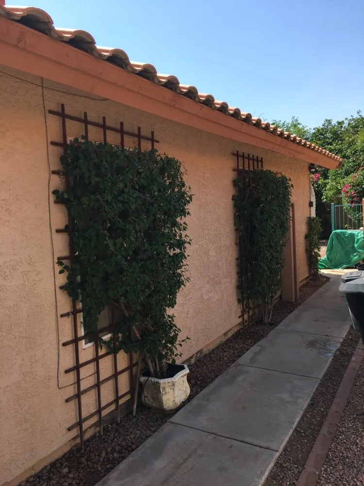 Expert garden landscaping near you in Mesa, AZ by Terra Landscaping