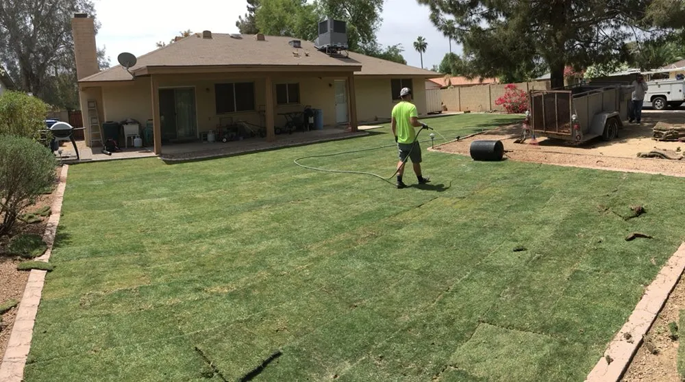 Affordable landscape installation with custom design across Mesa, AZ - Terra Landscaping