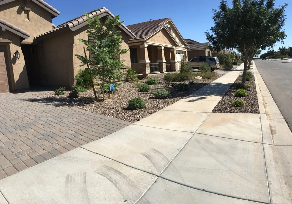 Custom lawn mowing service experts serving Mesa, AZ - Terra Landscaping