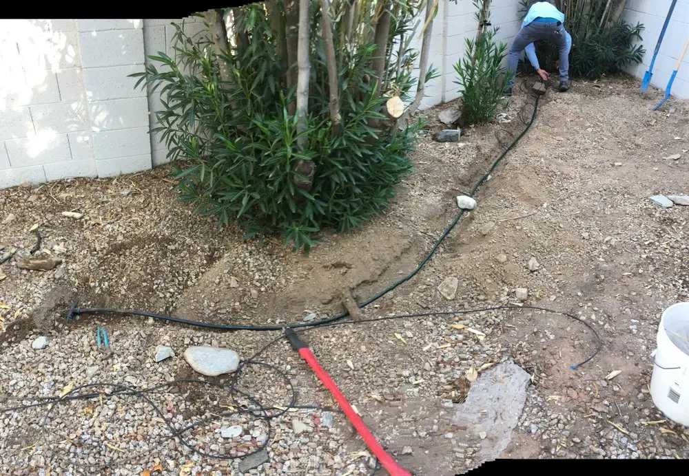 Local residential landscaping for residential properties in Mesa, AZ by Terra Landscaping
