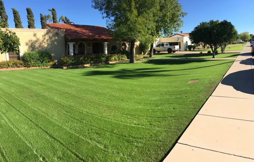 Trusted landscaping services in Mesa, AZ by Terra Landscaping