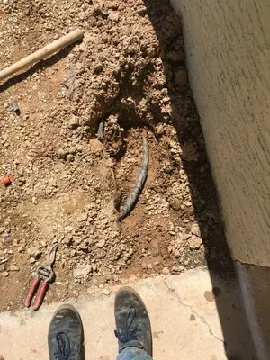 Terra Landscaping Logo