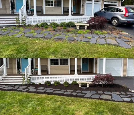 Terra Landscaping