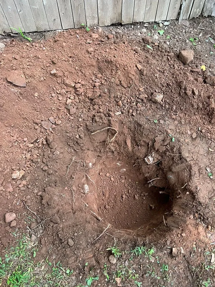 Expert landscape installation in West Orange, NJ by Terra Landscaping