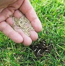 Custom landscape installation experts serving West Orange, NJ - Terra Landscaping