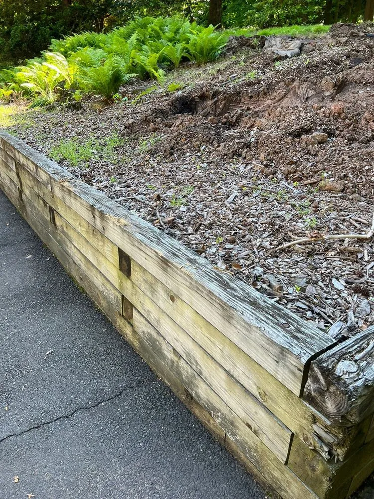 Local yard cleanup service near you in West Orange, NJ by Terra Landscaping