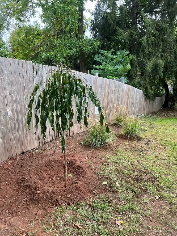 Affordable lawn care service experts serving West Orange, NJ - Terra Landscaping