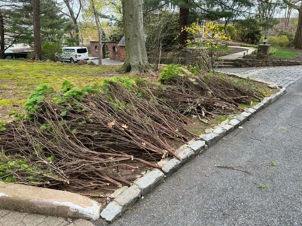 Custom outdoor landscaping for beautiful yards in West Orange, NJ by Terra Landscaping