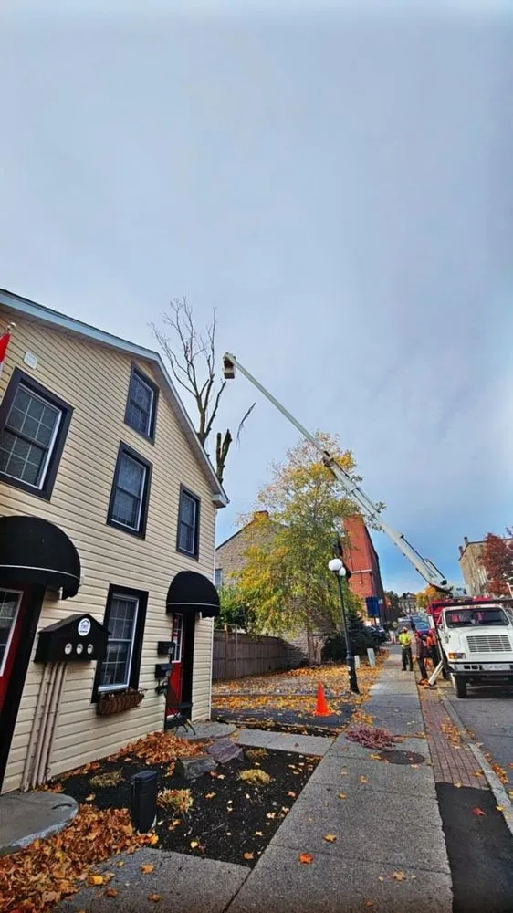 Local residential landscaping in Moore, OK - Terra Landworks