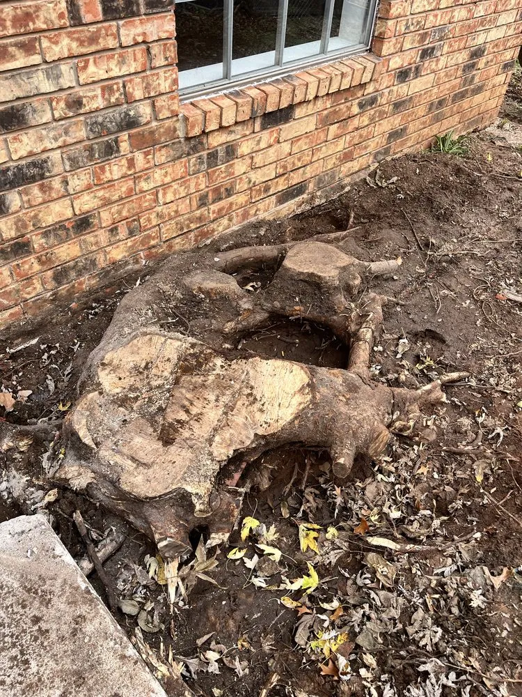 Custom landscape design for outdoor upgrades in Moore, OK by Terra Landworks