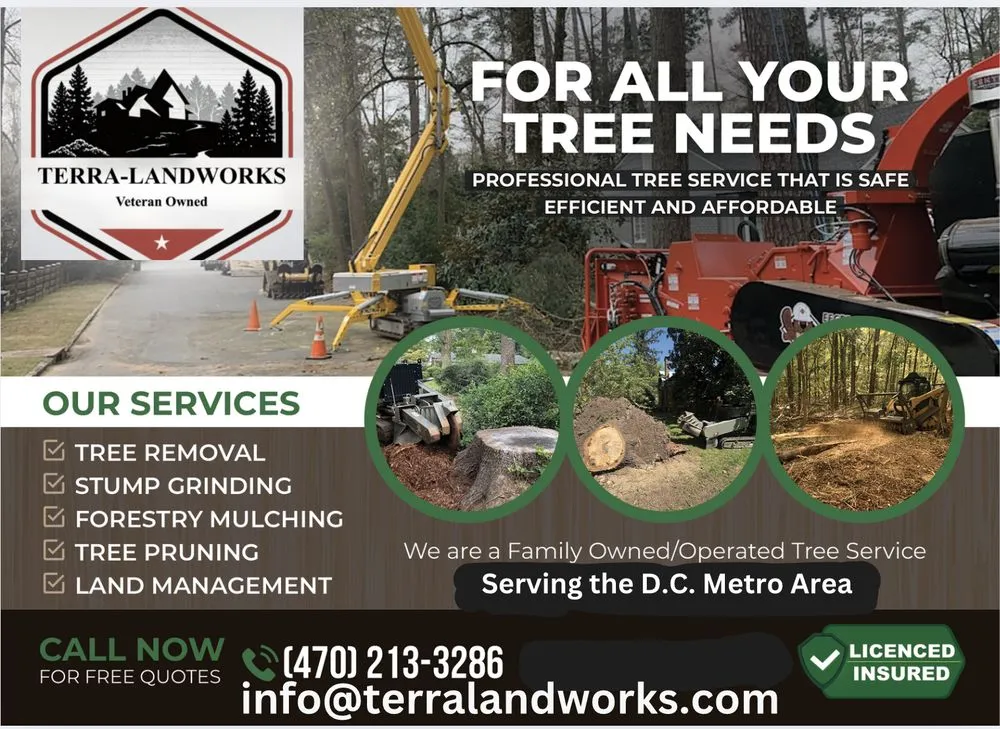 Affordable yard cleanup service experts serving Moore, OK - Terra Landworks